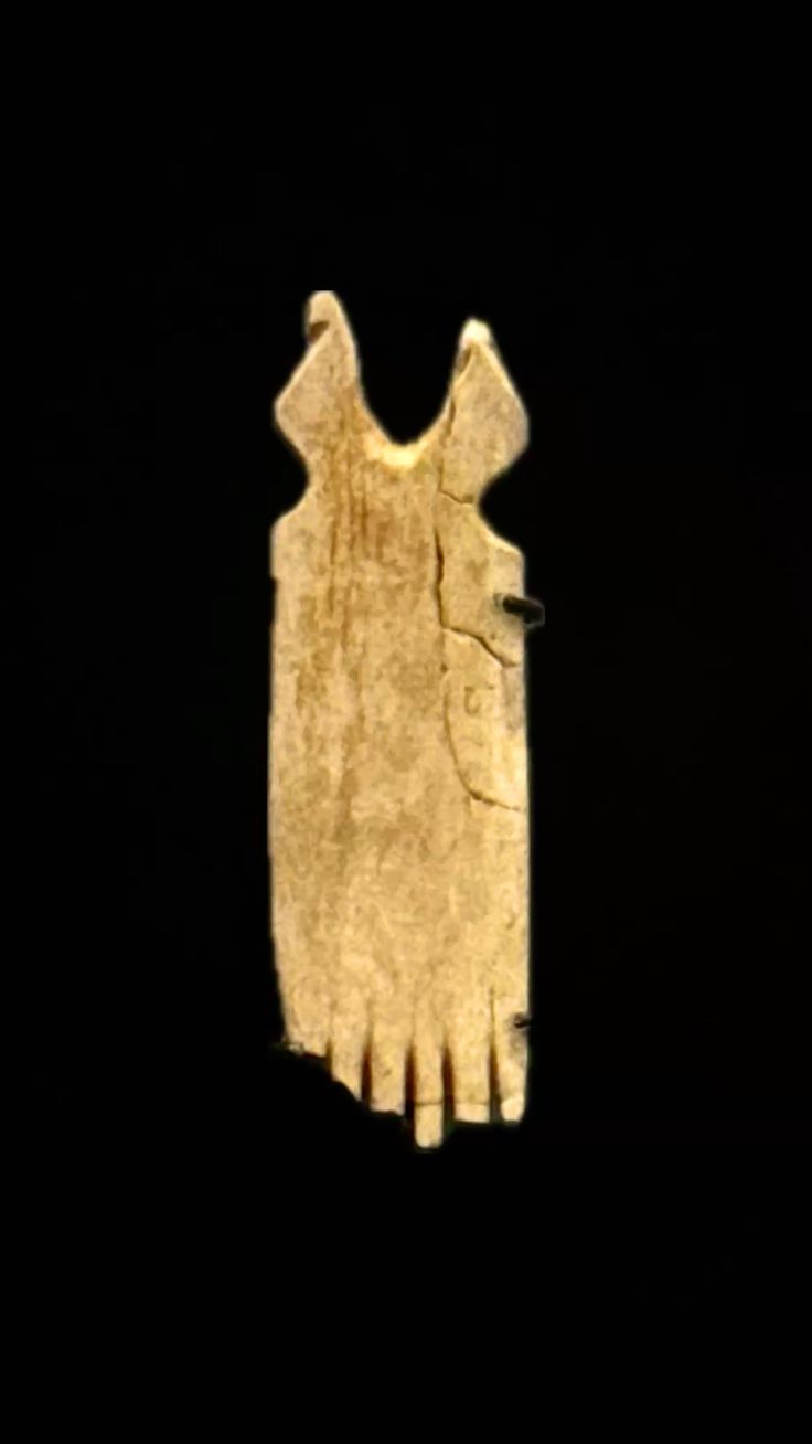 Bone