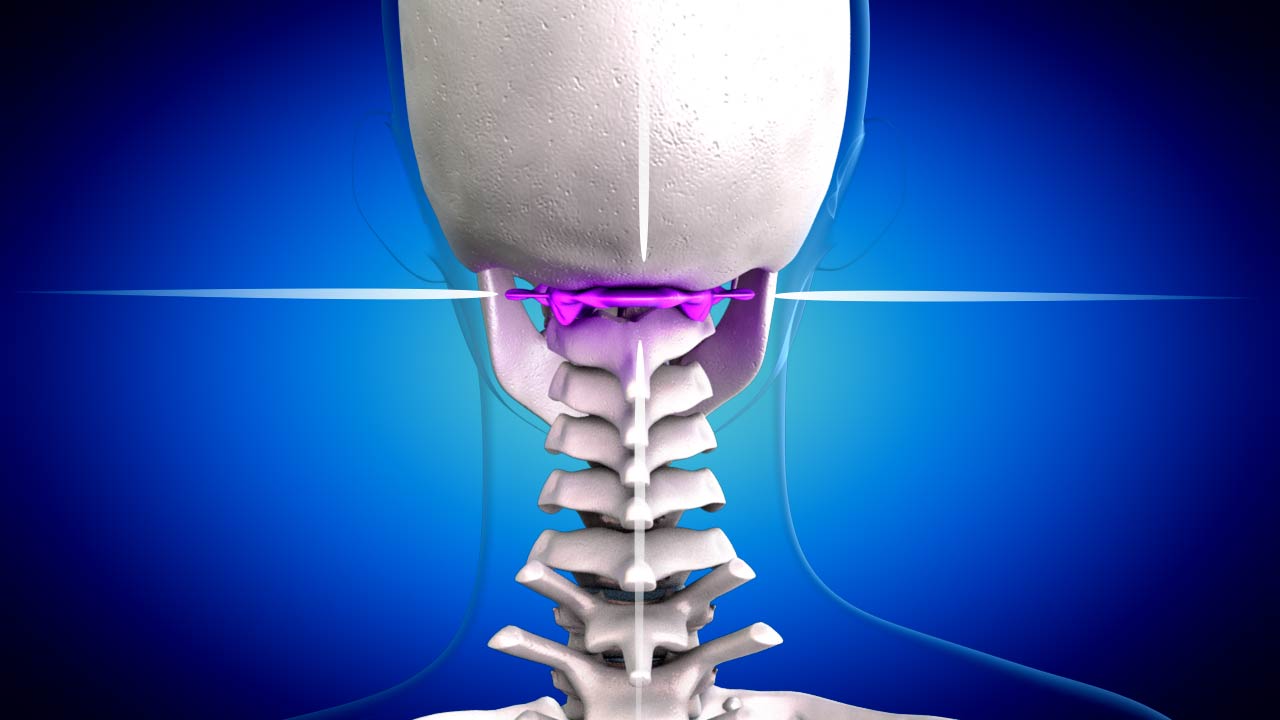 Bone