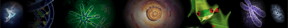 Cell (biology)