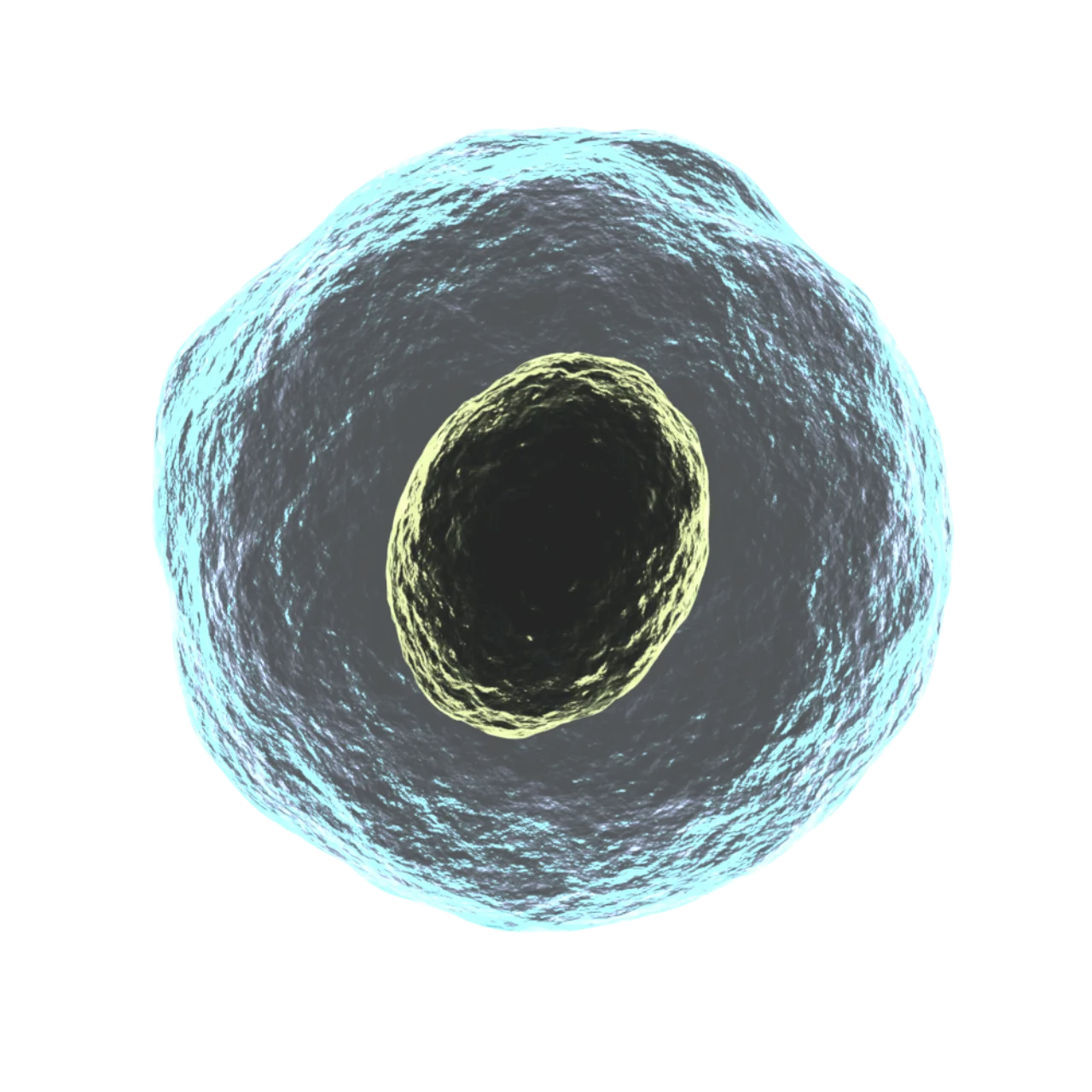 Cell (biology)