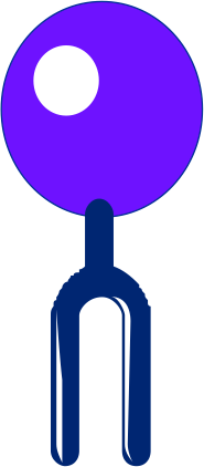 Cell membrane