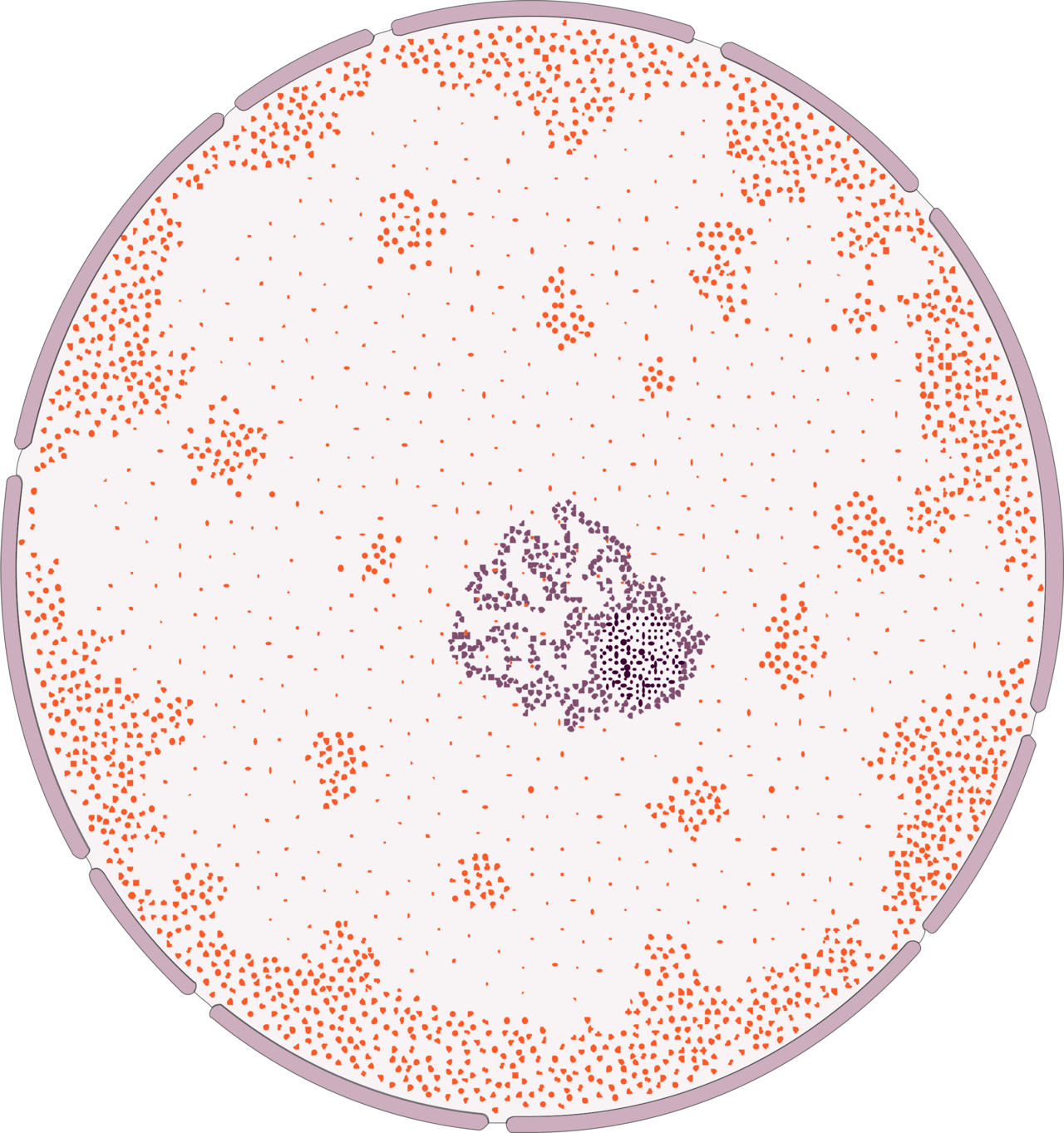 Cell nucleus