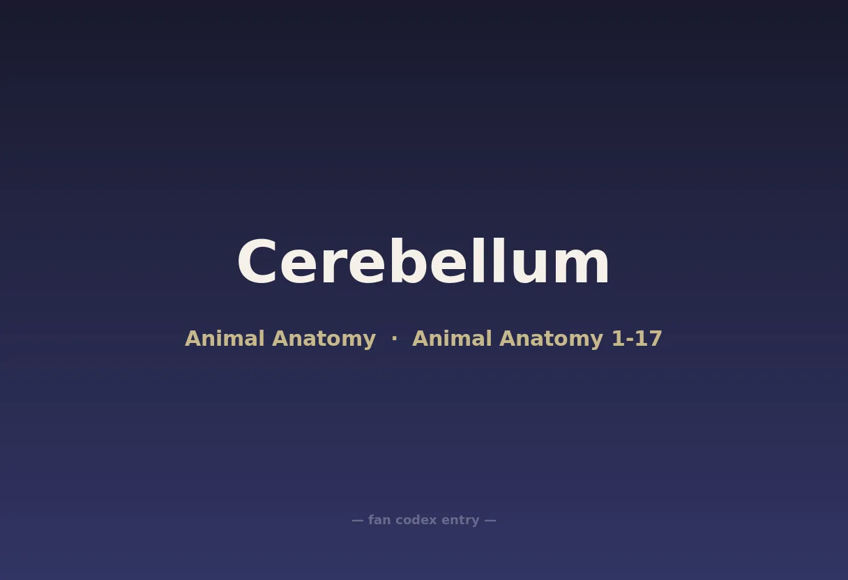 Cerebellum