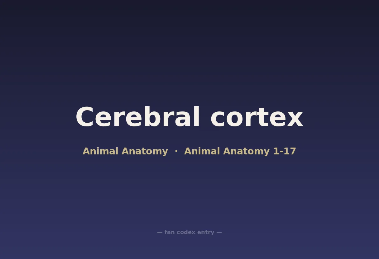 Cerebral cortex