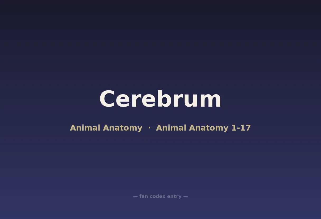 Cerebrum